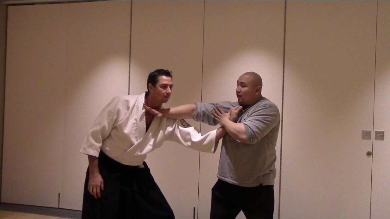 aikdo & kung fu principles