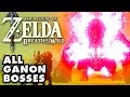 The Legend of Zelda: Breath of The Wild - All Ganon Bosses! Plus Master Kohga! (Nintendo Switch)