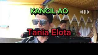 Karaoke Tania Elota kancil AO #lagubugis