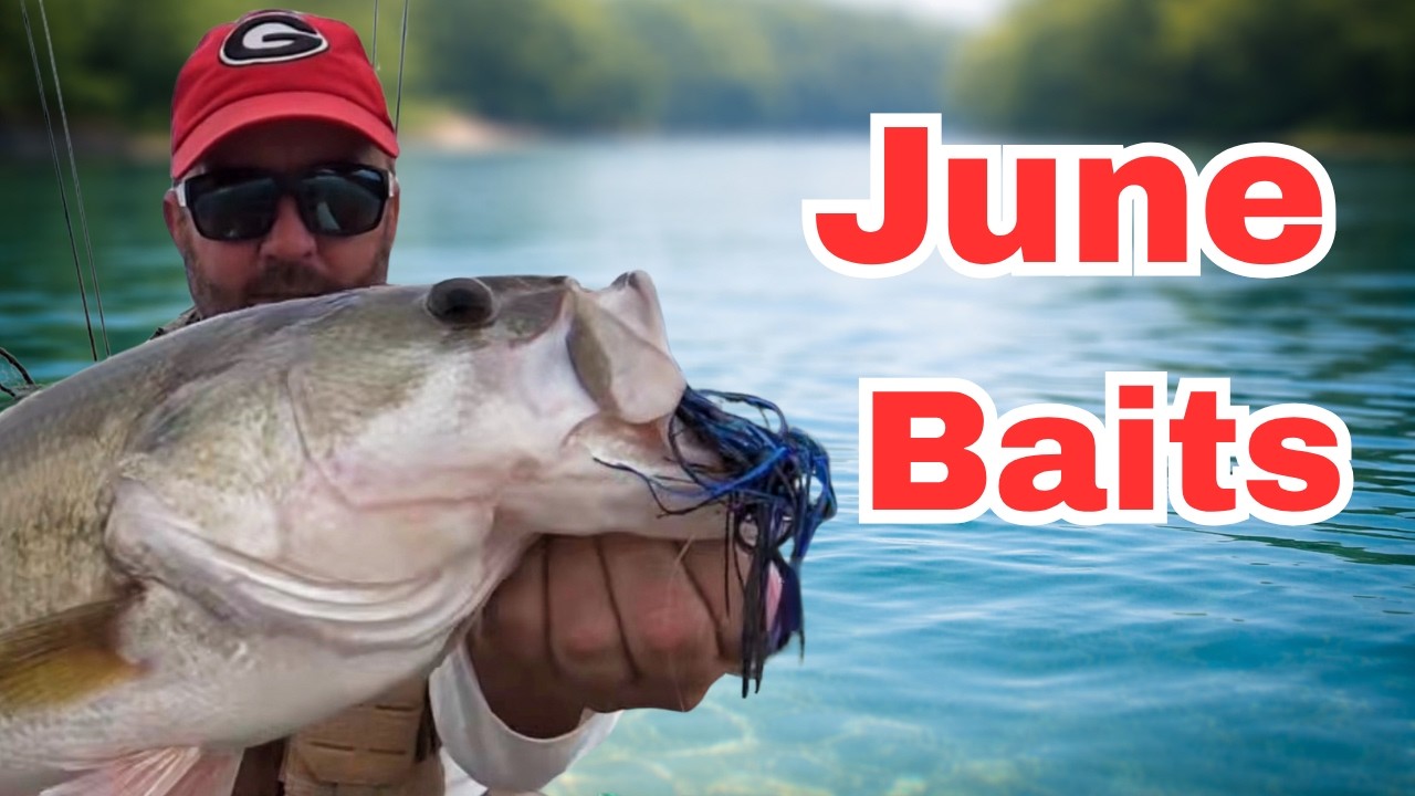Catch Giant Bass on these June Baits