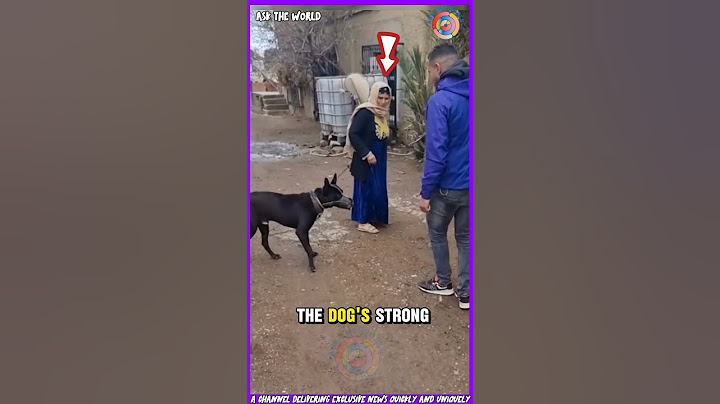 "Loyal Dog Protects Woman from Her Own Son!"