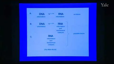 The Origin of Life - DayDayNews