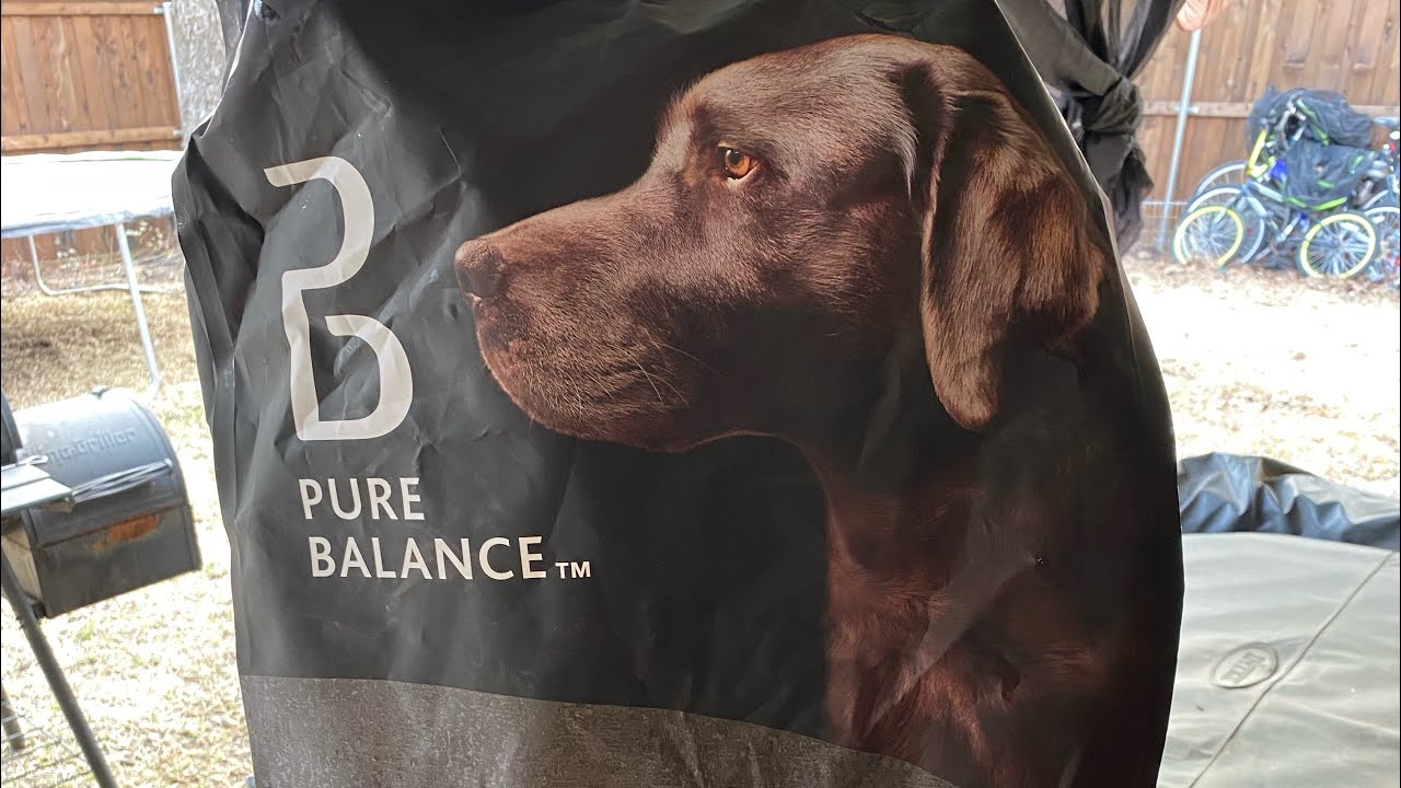 Trying Out Pure Balance Dog Food For The First Time. YouTube