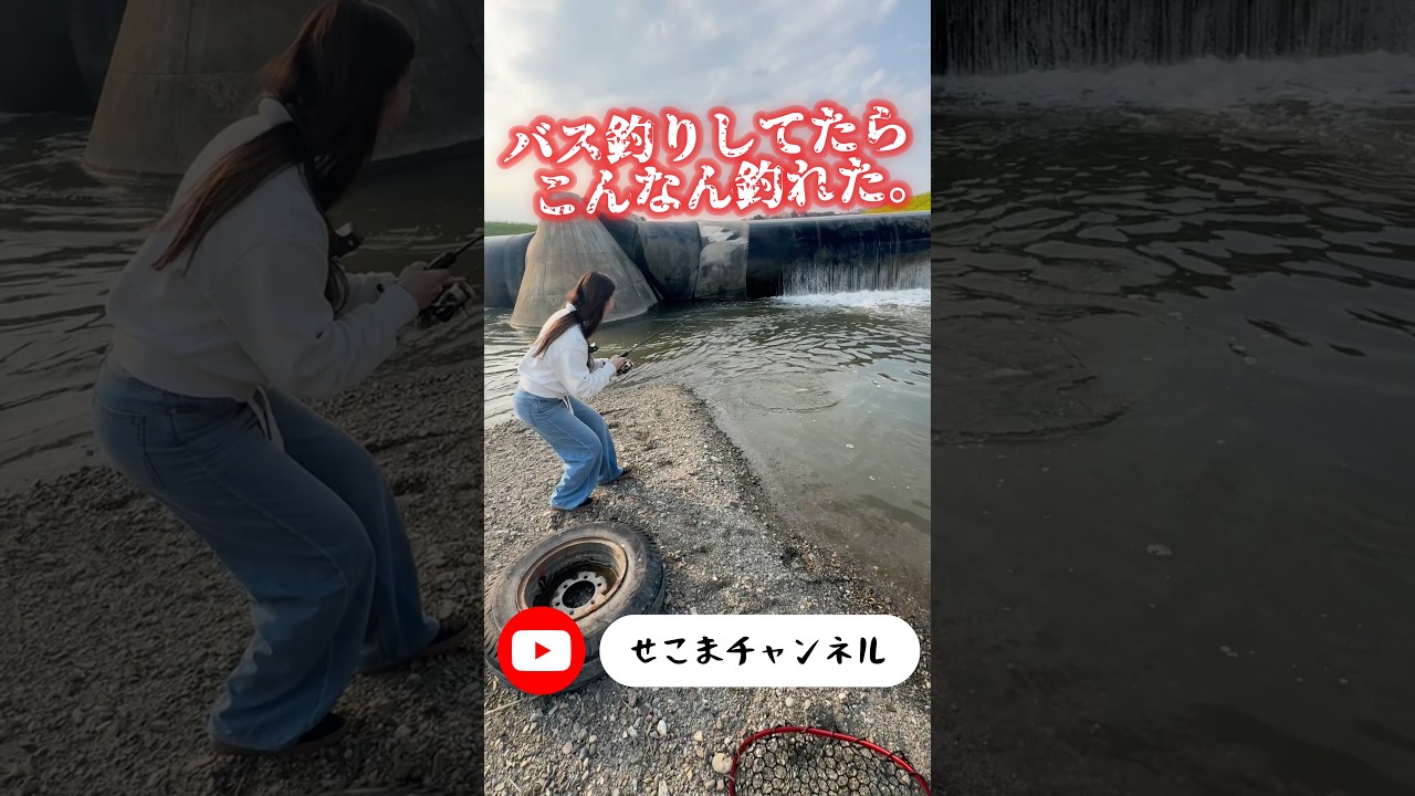 バス釣りしてたらこんなん釣れた！#バス釣り #釣りガール #ナマズ釣り