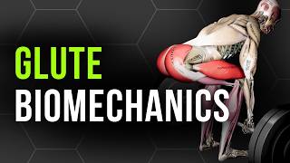 How to Train Based on Your Glute Anatomy
The Anatomy and Biomechanics of Movement (CEU Approved): https://www.themovementsystem.com/the-anatomy-and-biomechanics-of-movement-course-landing-page
Studying for the CSCS Exam?
Join the CSCS Study Group on Facebook!
https://www.facebook.com/groups/2415992685342170/
Pass the CSCS Exam in 90 Days with The Movement System CSCS Study Course:
https://www.themovementsystem.com/strength-and-conditioning-study-course-sales-page
CSCS Practice Test: https://www.themovementsystem.com/offers/cF2D5UwS/checkout
00:00 Intro
00:11 2 Types of Glutes
00:57 Type 1: Posterior Tilt
01:55 Glute Exercises
04:20 Foam rolling glute
05:45 Type 2: Anterior Tilt
06:50 Glute Exercises 2
Continuing Education Courses: (NSCA CEU Approved):
Program Design 101: https://www.themovementsystem.com/programdesigncourse
Movement Assessment 101:
https://www.themovementsystem.com/movement-assessment-101-info
Strength and Conditioning Programs:
7 Day Free Trial of The Movement System Hybrid Athlete Training Team: https://marketplace.trainheroic.com/workout-plan/team/the-movement-system-hybrid-athlete-team?attrib=538955-yt
12 Week Vertical Jump Program: https://marketplace.trainheroic.com/workout-plan/program/casturo-program-1668623506?attrib=538955-yt
12 Week Strength and Hypertrophy Program: https://marketplace.trainheroic.com/workout-plan/program/abel-program-1679675229?attrib=538955-yt
Products we Recommended (Affiliate Links):
Legion Athletics (20% OFF with Code: MOVEMENT): https://legionathletics.rfrl.co/9j4dv
Vitruve Velocity Based Training (10% OFF with code MOVEMENT): https://shop.vitruve.fit/discount/movement?aff=73
Amazon products we recommend: https://www.amazon.com/shop/themovementsystem
Book Recommendations: https://www.amazon.com/shop/themovementsystem/list/2UJJ9KRPVDF2I?ref aip_sf_list_spv_ofs_mixed_d
Disclaimers:
Information contained in this video or otherwise provided by The Movement System is for educational purposes only, and does not substitute professional medical advice or consultations with healthcare professionals. Always consult with a medical professional before making changes to your exercise routine.
This video does not have any affiliation with, or any recognition, sponsorship, or endorsement by, the NSCA. CSCS® and Certified Strength and Conditioning Specialist® are registered trademarks of the National Strength and Conditioning Association.
✅ Let’s Connect:
🧠 Website: www.themovementsystem.com
📱 Instagram: https://www.instagram.com/themovementsystem/
🎙️ Podcast: https://open.spotify.com/show/4VgQ8cxo46bN4ushFBkVsm?si=9bbee529baec4ce9 How to Train Based on Your Glute Anatomy