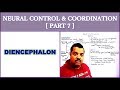 Neural Control and Coordination for NEET | Part 7 | Diencephalon
