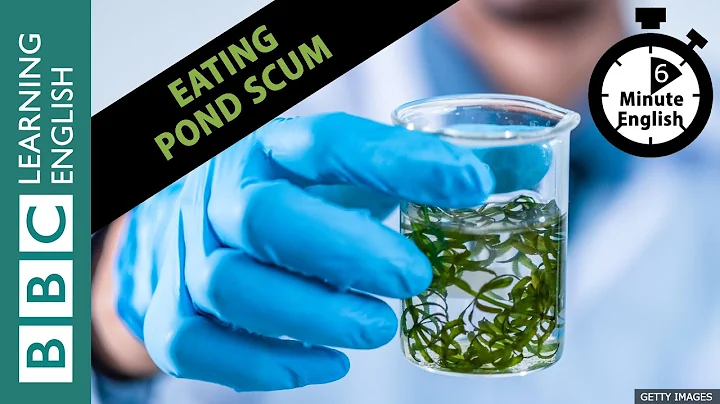 Would you eat pond scum? Eating Microalgae! Listen to 6 Minute English - DayDayNews