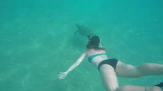 Shev n milana swimming with a Giant Sea turtle