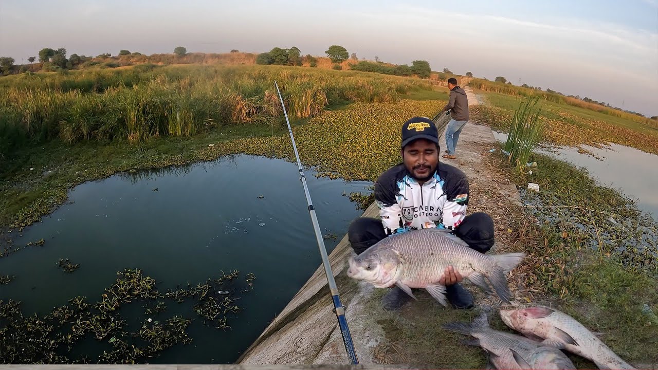 किस्मत से मिला फिर मौका || एक से बढ़कर एक || TIGGI HOOK FISHING