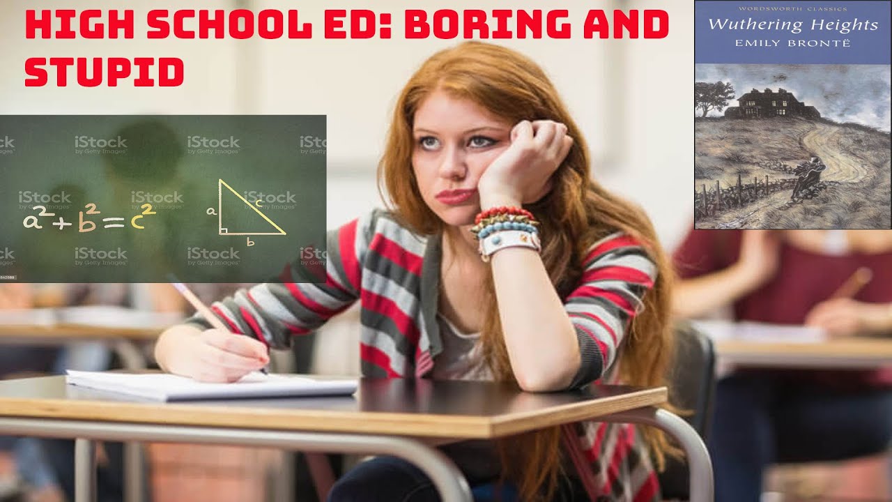 Pythagorean Theorem and Shakespeare: Was High School Pointless?- Rethinking High School Education