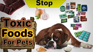 These Are Toxic foods for dogs And Cats? These Common Foods May Surprise You by Learning Pets 24 views 2 years ago 7 minutes, 10 seconds