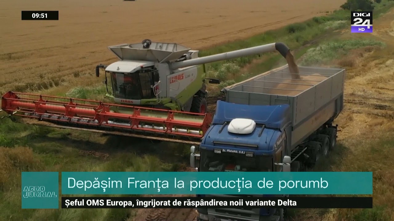 Graul si orzul, la proba cantarului. Pret bun la orz insa ascensiunea este temperata.