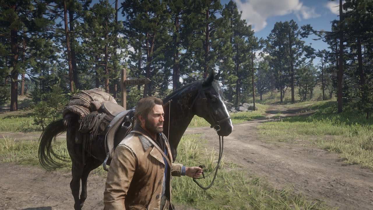 [Red Dead Redemption 2] Kuda-kudaan - YouTube