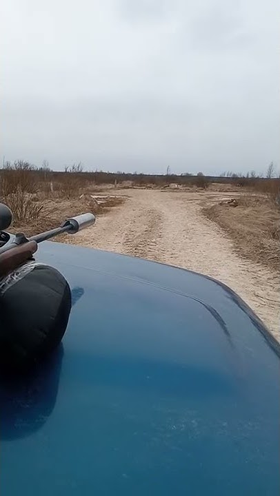 Дтк до звуковой патрон 308 вин - YouTube