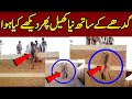 گدھے کے ساتھ نیا کیھل کیھلا گیا ایک بار ضرور دیکھے