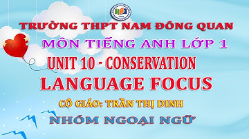 BÀI GIẢNG TIẾNG ANH LỚP 10 - UNIT10 - LANGUAGE FOCUS | CÔ GIÁO TRẦN THỊ DINH