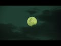 الموسيقى الأشهر في العالم