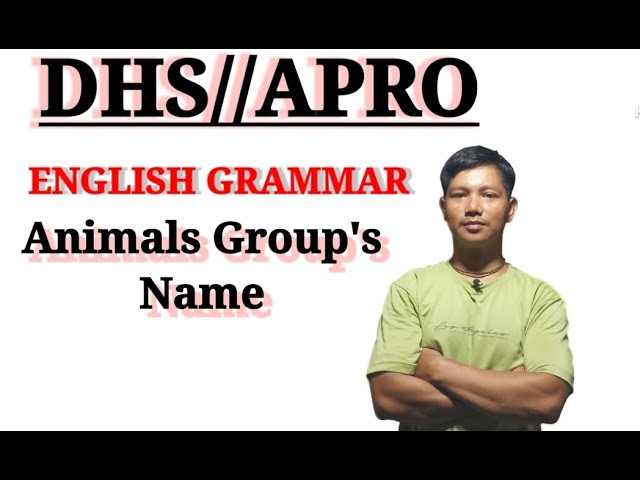 DHS Important English Grammar Questions//Animals Group Name class=