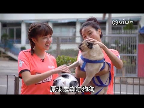 Kit Cheung張敏潔@ViuTV《全港的》世界盃倒數85日