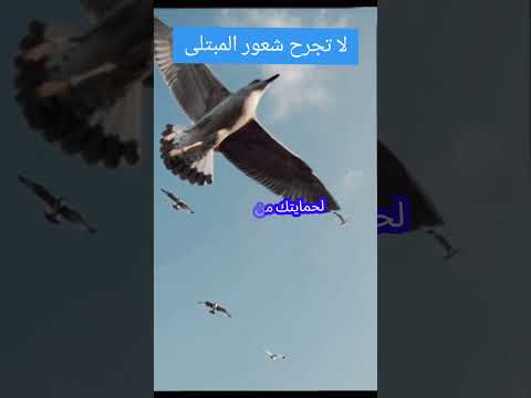 إذا رايت مبتلى فاحمد الله من فضلك اشترك في القناة اكسبلور