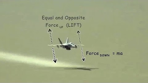 Newton explains flight