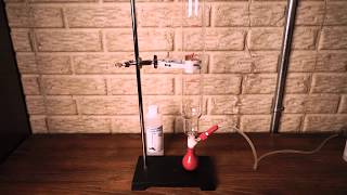 Celebrity Bubble-O-Meter Instructional Video Net Worth