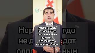 Народ никогда не даст мандат оппозиционным партиям – председатель парламента Грузии