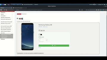 WebGoat 8   Client side filtering   No need to pay if you know the code