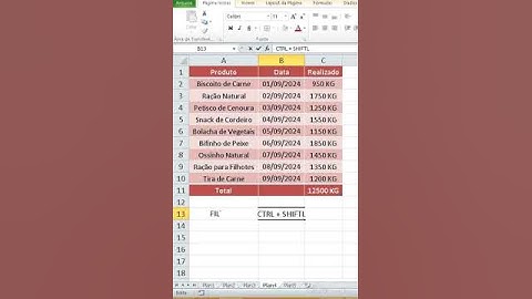 Tecla de Atalho para Filtrar CTRL + SHIFIT + L