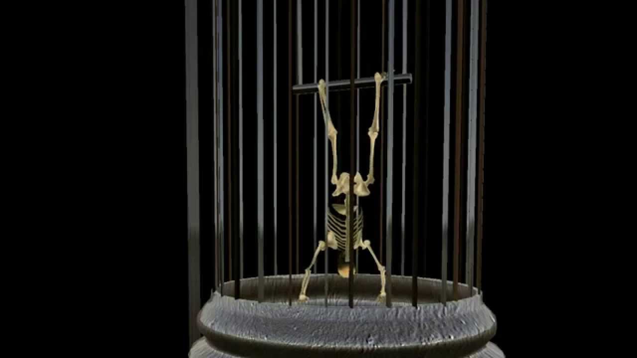 SKELETON in a bird cage