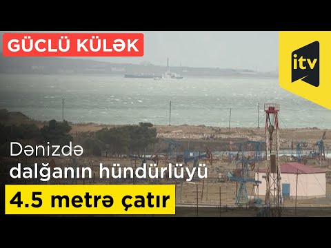 Video: Kergelt Soolatud Kurgid Ilma Marineerimata