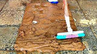 Unbelievable cleaning of dried mud on the carpet satisfying rug cleaning|asmr