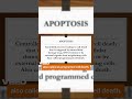 Genetics definition Apoptosis  neet definition