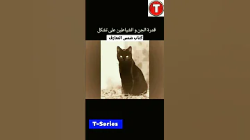 كتاب شمس المعارف تك توك المشاهير السحر الاسود السحر ترند اكسبلور شمس المعارف Shorts 