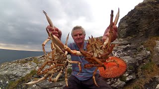 Catch, Dispatch, and Cook Cornish King Crab - AKA Spider Crab - Shore Crab Fishing