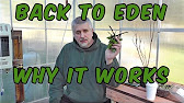 Update on my Back To Eden Asparagus Patch! - YouTube