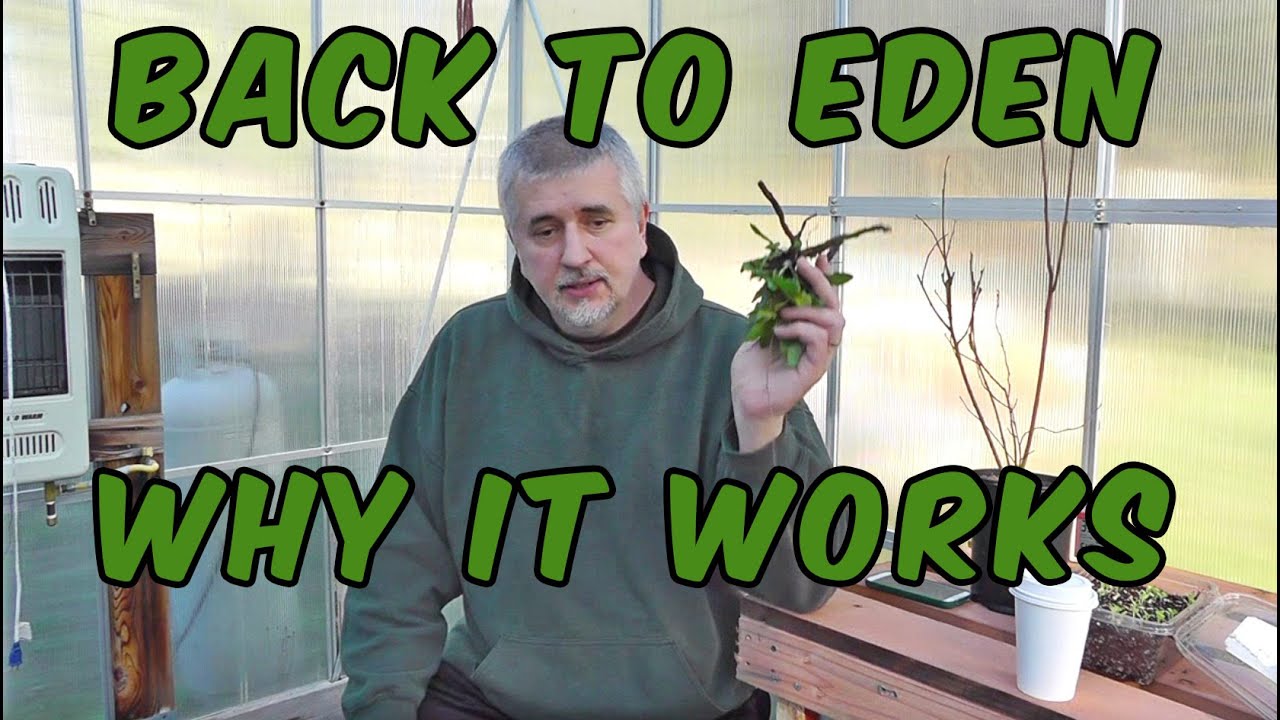 Back To Eden Gardening Method and Why It Works YouTube