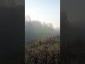 Туман над рекой