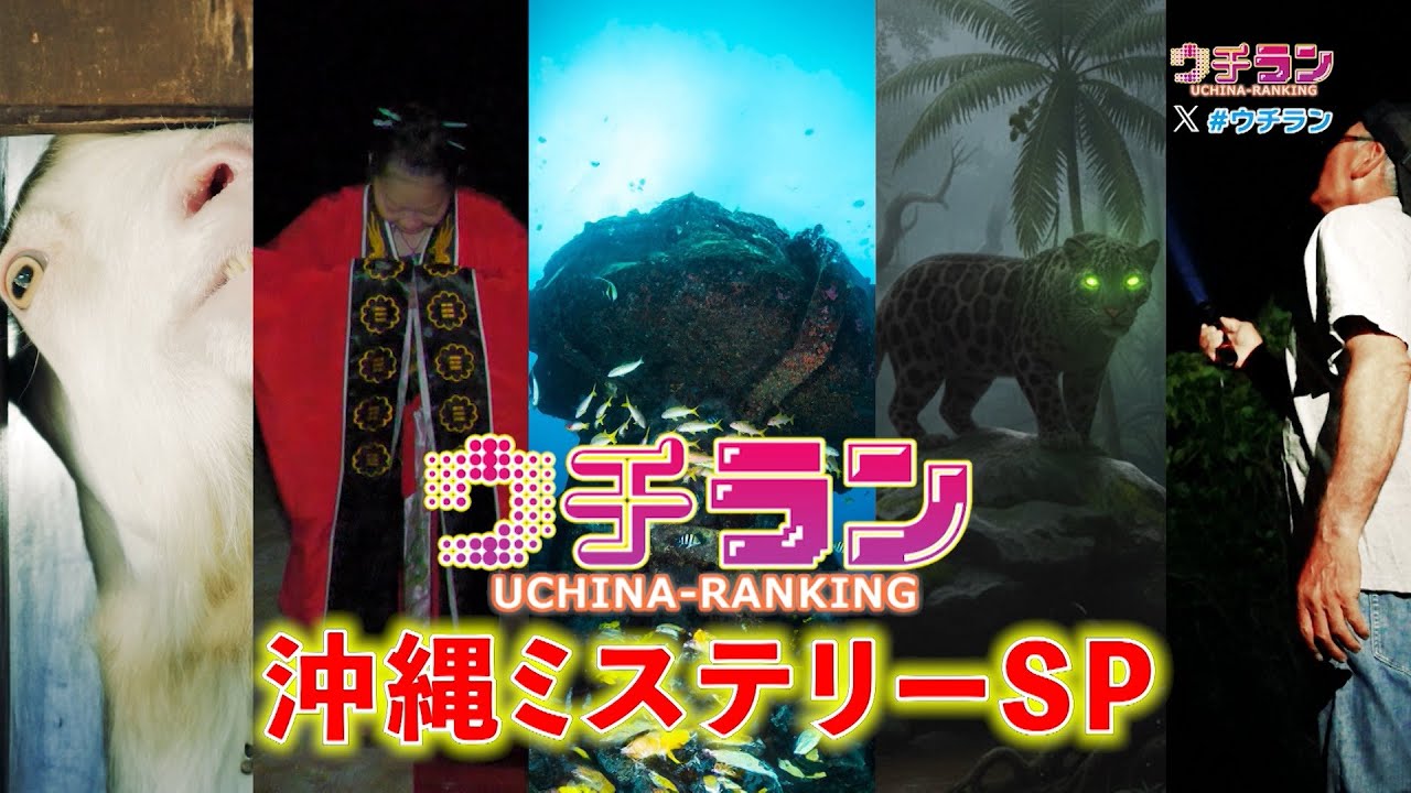 西表島に潜む未確認生物の謎に挑む...沖縄ミステリーランキングSP★