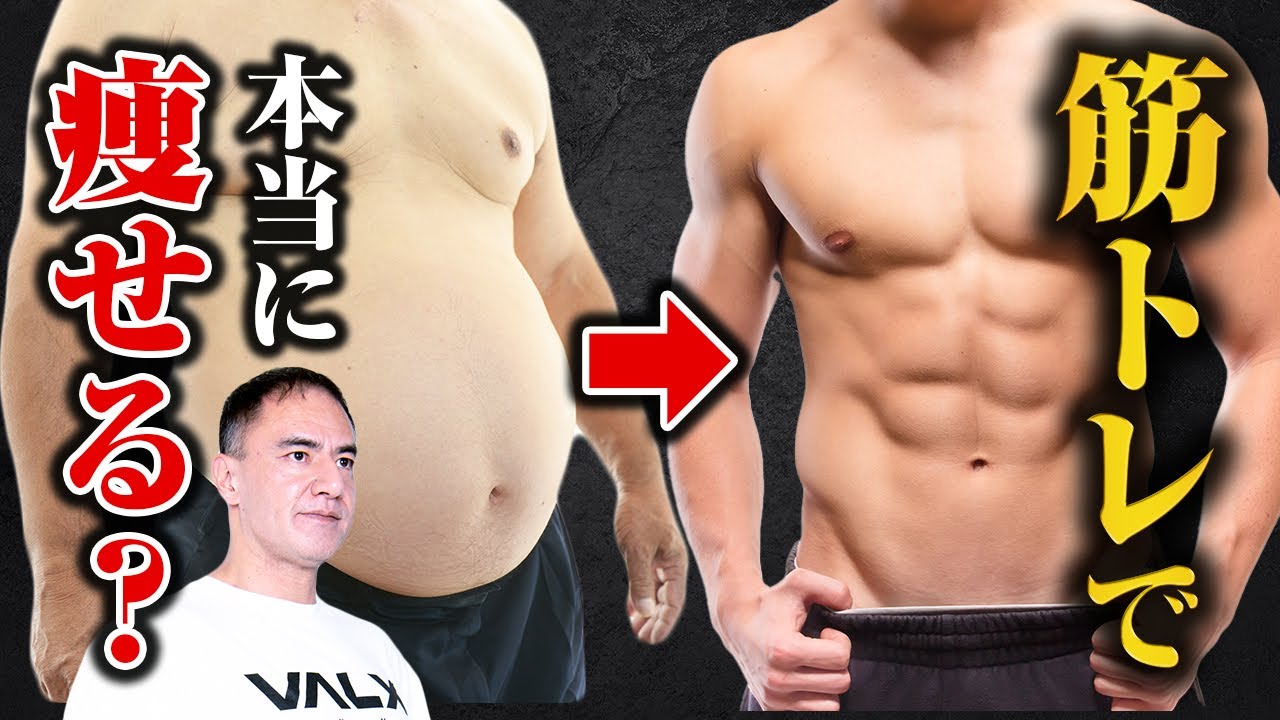 筋トレ 筋肉をつけると痩せやすい体になる 筋肉は脂肪燃焼に効果的なのか解明しました Youtube