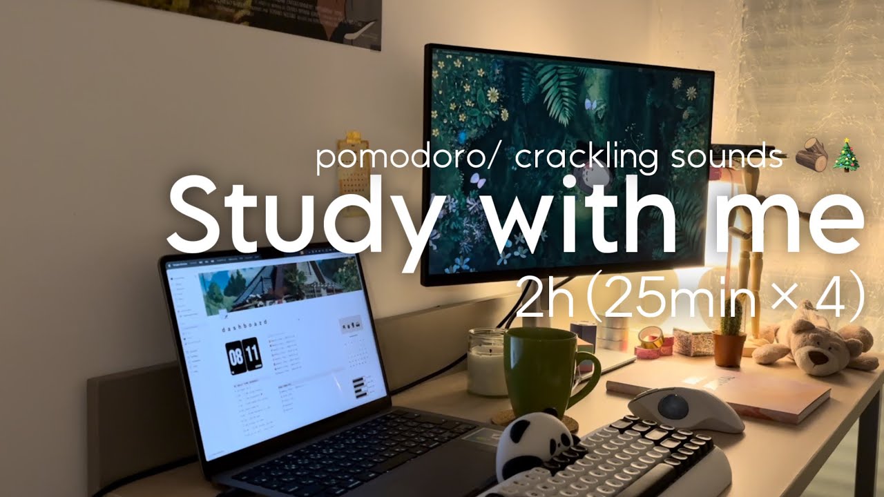 Study with me 2h🌳 冬の夜に一緒に勉強しませんか🎅 ポモドーロ法25x4, no music, real time, with countdown ⏲