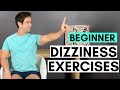 Exercises For Dizziness, Vertigo and Motion Sensitivity (BEGINNER)