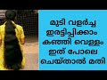 കഞ്ഞിവെള്ളം വെച്ചു മുടി വളർച്ച ഇരട്ടിക്കാൻ ഉപയോഗിക്കേണ്ട ശരിയായ  രീതി