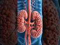Stone (Pathar) Formation In Kidney Explain 🔥|Kidney Men Pathar Kese Banta He??