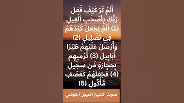 سورة الفيل بصوت الشيخ العيون الكوشي | Surah Al-Fil – Al Ayyoun Al Kouchi