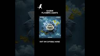 Gaskin - Flashing Lights