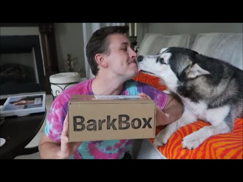 barkbox-unboxing-|-february-2016