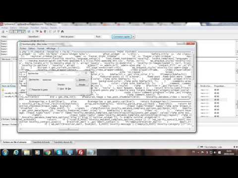 comment-trouver-le-textdomain-d'un-thème-wordpress-pour-sa-traduction