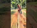 Mastering the Timber Cut! #Woodworking #Satisfying #Chainsaw