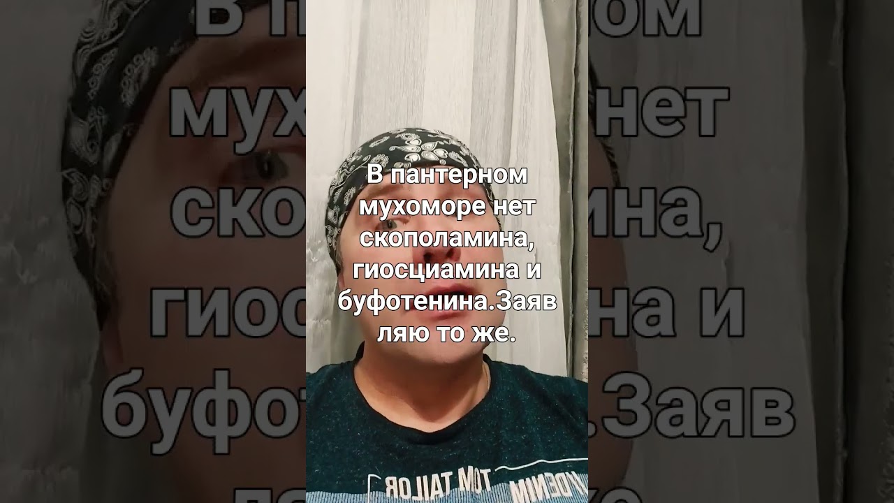 В пантерном нет скополамина  буфотенина и  гиосциамина.